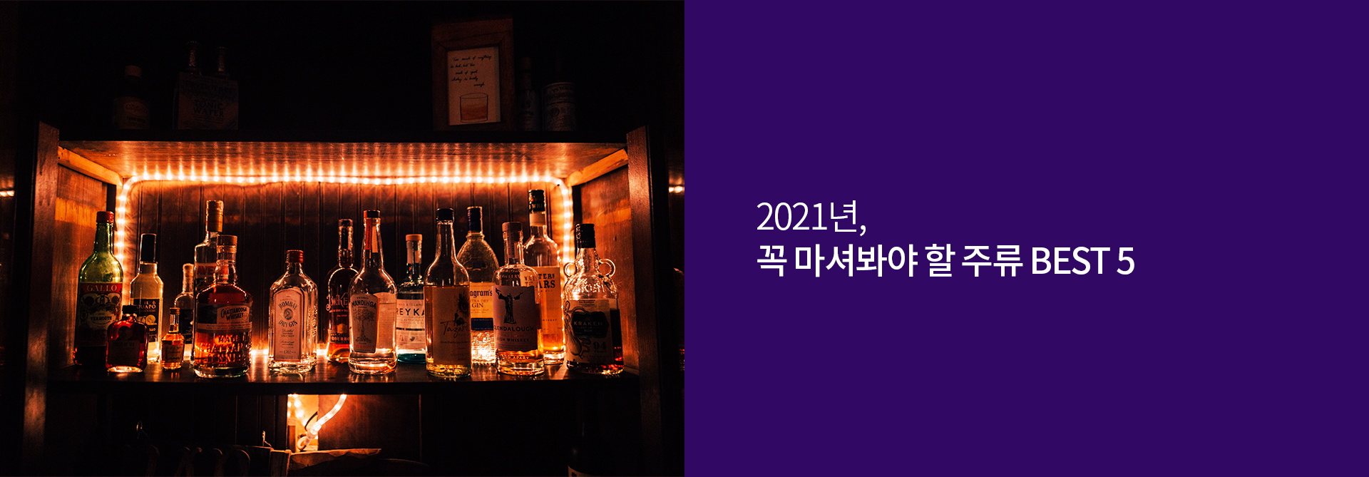 1월 이달의 추천